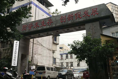 乐投入口公司成立
